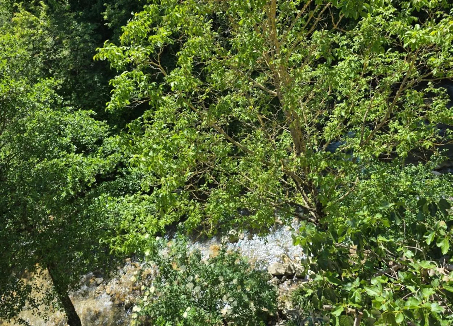 Bed and Breakfast Ca Di Mencio Sansepolcro